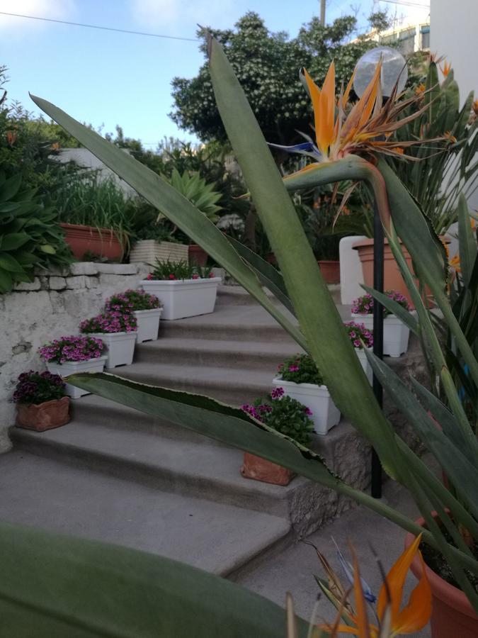 Villa Loreta Forio  Exterior photo