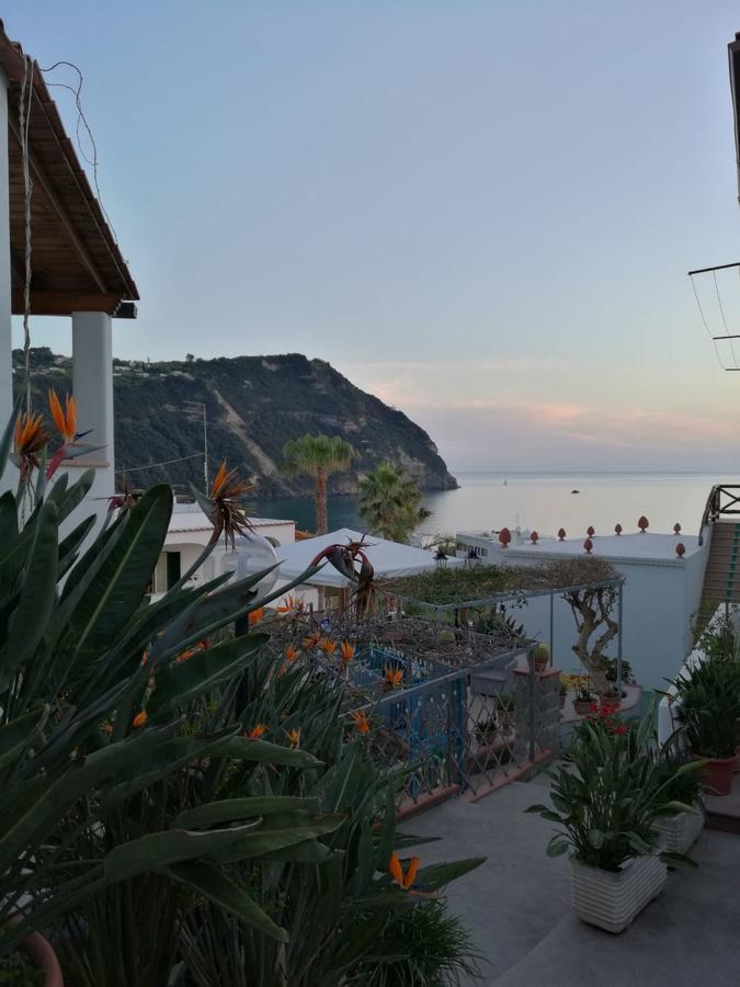 Villa Loreta Forio  Exterior photo